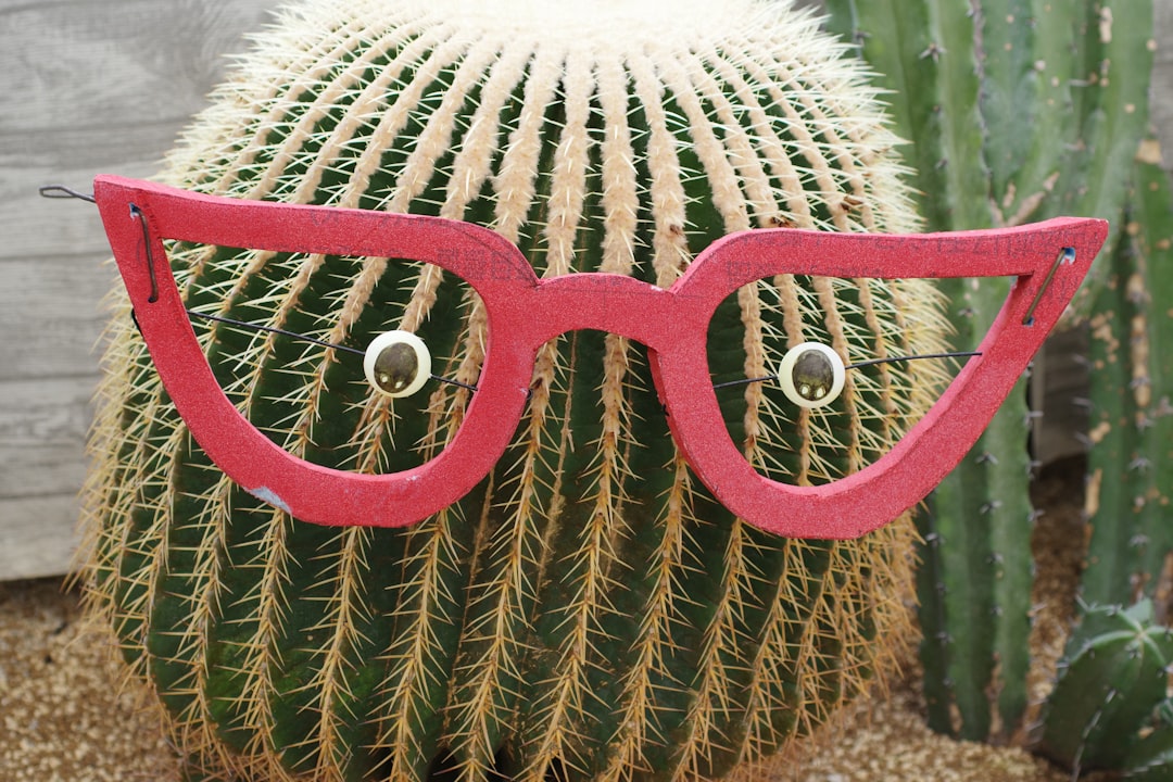 Forget Specs Which Macbook Neo