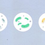 Gen Ai Kool-Aid Tastes Like