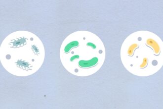 Gen Ai Kool-Aid Tastes Like