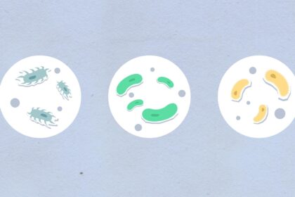 Gen Ai Kool-Aid Tastes Like