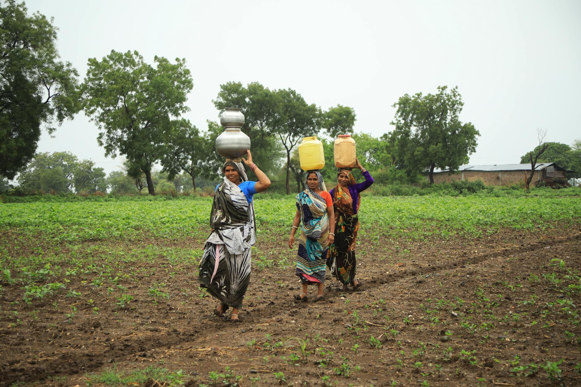 Vous Devinerez Jamais Sont PremièRes