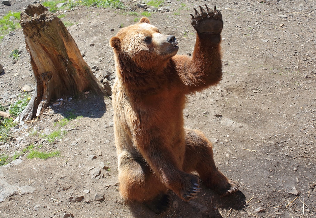 Put Claude Inside Slack Figma