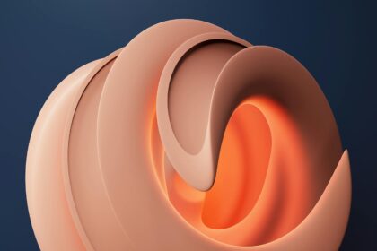 Galaxy Fold Wide Se DéVoile