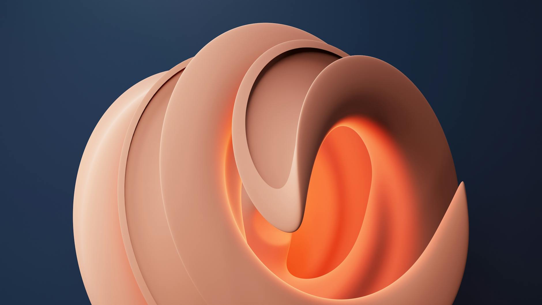 Galaxy Fold Wide Se DéVoile