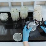 çA Vous Dirait Super BactéRies