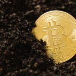 Tout Le Monde Parle Ia