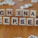 Ai Chip Startup Cerebras Files