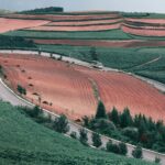 Nouvelle Route Soie Chine Domine