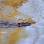 Avec Jumpers Pixar Mise Complexité