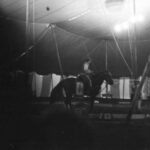 Histoire Hors Norme Mabel Stark