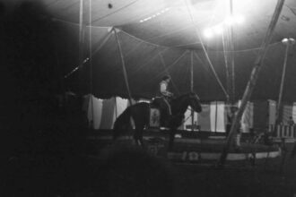 Histoire Hors Norme Mabel Stark