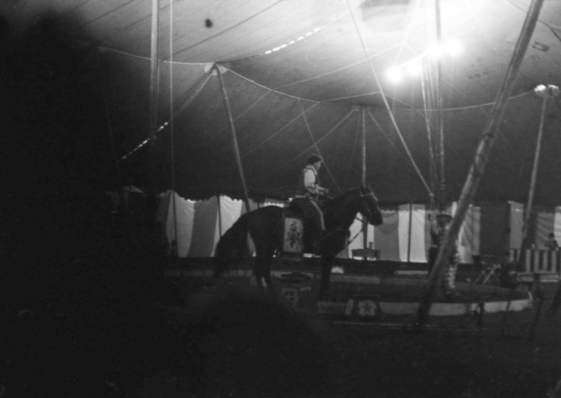 Histoire Hors Norme Mabel Stark