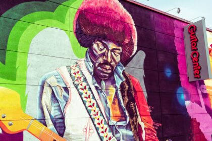 Cinq Biopics Musicaux Voir Absolument