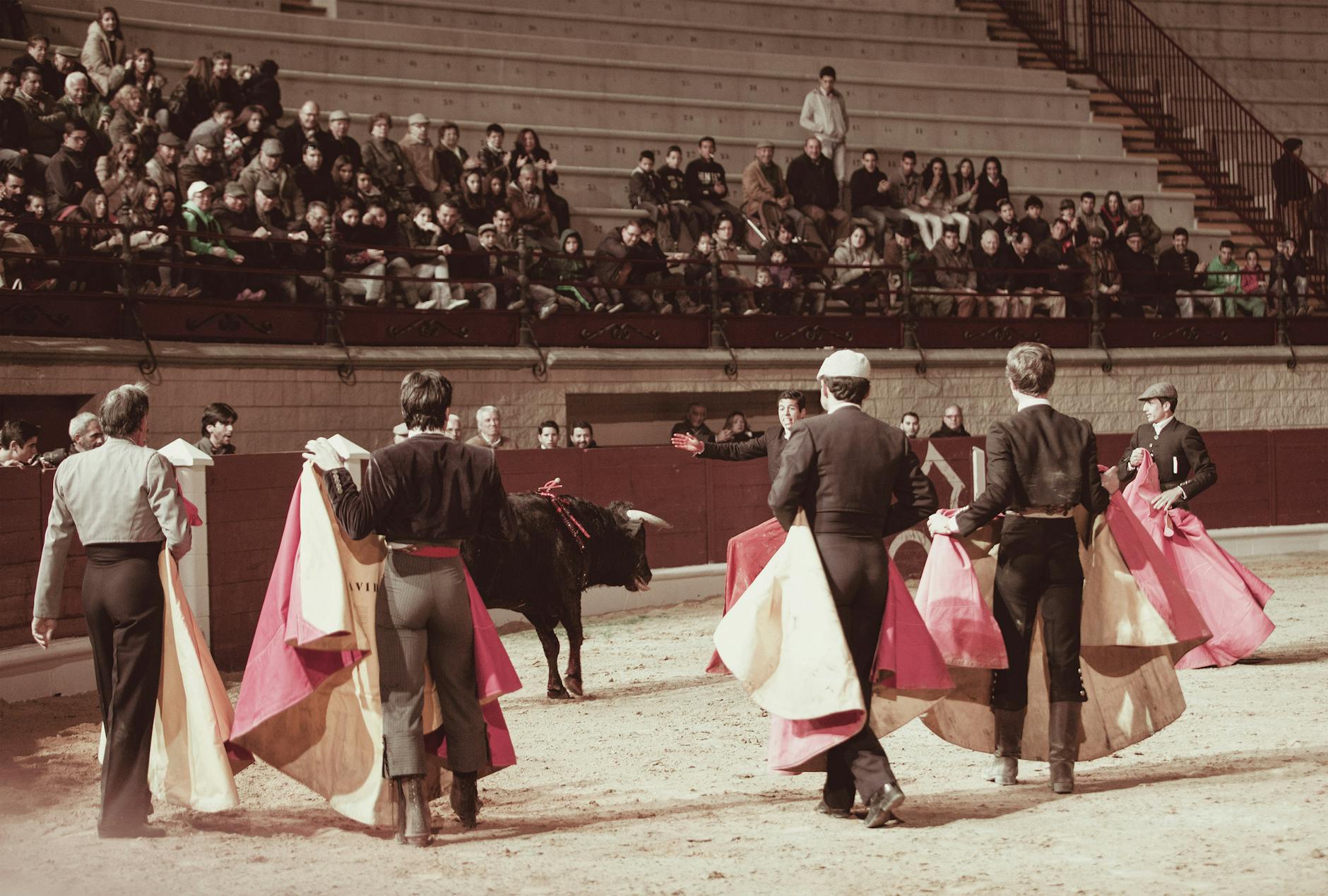 Pedro Sánchez Matador Espagnol Défie