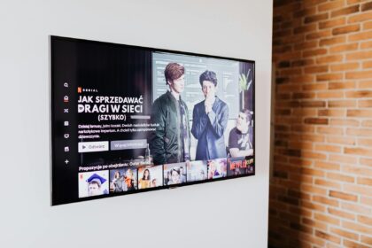 Netflix Teste Mode Vocal Rechercher