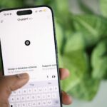 Codex Invite Dans Application Chatgpt