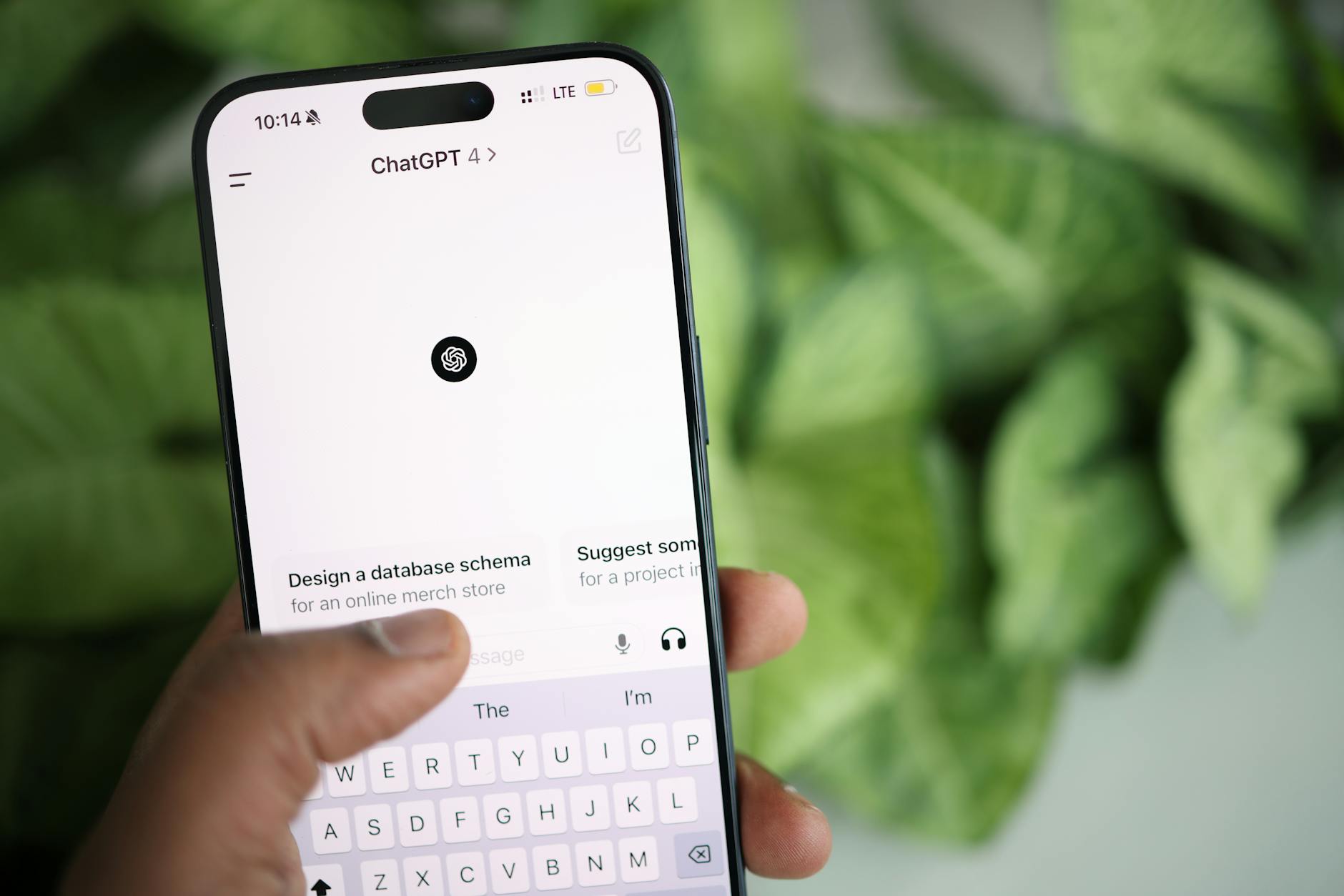 Codex Invite Dans Application Chatgpt
