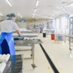 Après Échec Plant-Based Tristan Maurel